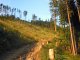 Młada Hora  - Rycerki - szlak niebieski. Krótkie ale kamieniste zejście. Autor: Wiesław Dębowski
