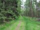 Przełęcz między Gaikami i Groniczkami - Nowy Świat - szlak zielony. Szlak zielony - dosłownie i w przenośni Autor: Maciej Bełch