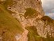 Krzesanica szlaki: Krzesanica - Ciemniak - szlak czerwony. Gdzieś koło Goryczkowej Czuby. Autor: Joanna Klima.