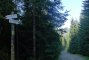 Chochołowska szlaki: Starorobociańska Dolina - Polana Trzydniówka - szlak zielony. to krotki odcinek 0.7 km, na polanie tej odchodzi szlak czerwony na Trzydniowianski . Autor: slowinska irena.