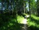 Wdżary Niżne - Wielka Przehyba - szlak niebieski. na trasie Autor: Krystyna Wiewióra