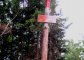 Radziejowa - Wielka Przehyba - szlak czerwony. Złomisty Wierch Autor: Krystyna Wiewióra