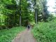 Grybów - Jaworze - szlak zielony. Autor: Krystyna Wiewióra