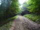 Czerniawa Sucha  - Koszarawa Cicha - szlak zielony. na trasie Autor: Krystyna Wiewióra