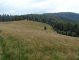 Przełęcz Klekociny  - Hala Kamińskiego  - szlak zielony. na trasie Autor: Krystyna Wiewióra