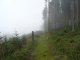 Uszczawne - Sopotnia Wielka Mrozówki - szlak zielony. Autor: Krystyna Wiewióra
