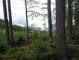 Uszczawne - Sopotnia Wielka Mrozówki - szlak zielony. Autor: Krystyna Wiewióra