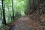 Stawieniec - Przełęcz Borek  - szlak niebieski. na trasie Autor: Krystyna Wiewióra