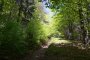 Wielka Rycerzowa  - Przysłop  - szlak niebieski.  Autor: Jabyrd