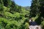 Siwa Przełęcz  - Starorobociańska Rówień - szlak czarny. Dolina Starorobociańska Autor: Jabyrd