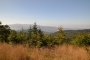Przełęcz między Gaikami i Groniczkami - Przegibek - szlak niebieski.  Autor: Jabyrd