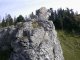 Nosalowa Przełęcz  szlaki: Murowanica - Nosal  - szlak zielony. Tę skałę nazywają Pieskiem,powinien być Świstak chyba. Autor: Rafał Maj.