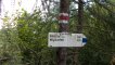 Magelin Grun - Przełęcz Łupkowska - szlak czerwony. Magelin grun - Przełęcz Łupkowska szlak niebieski na Słowacje zmieniony miał być za przełęczą a jest przed. Autor: Darek