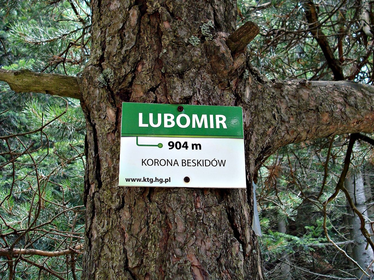 Lubomir