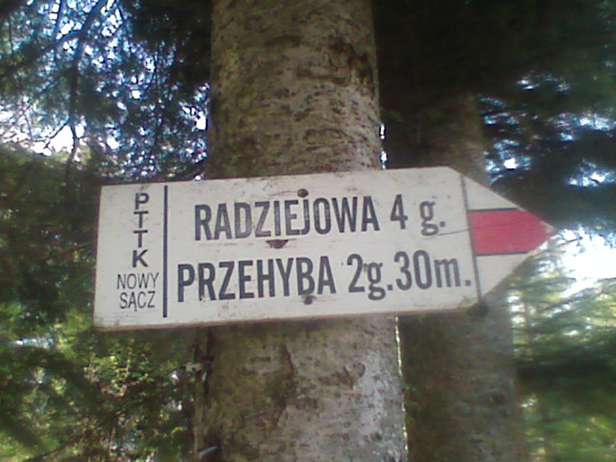 Dzwonkówka