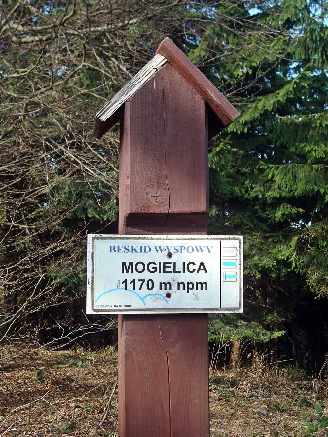 Mogielica