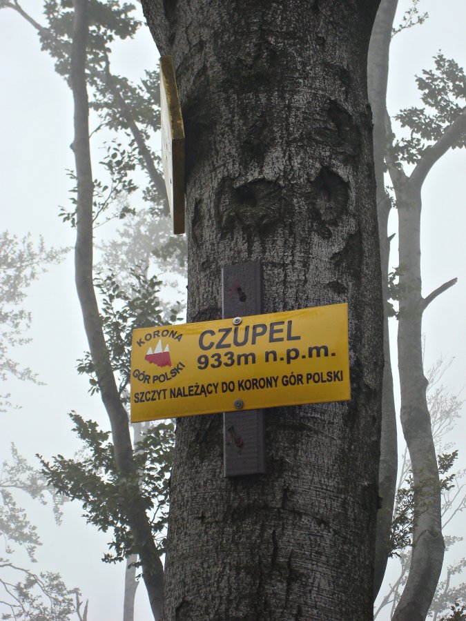 Czupel