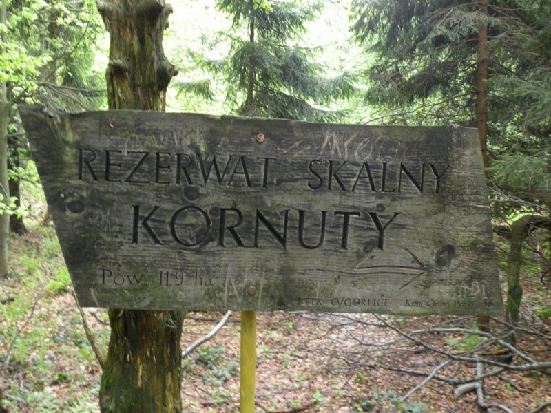 Kornuty