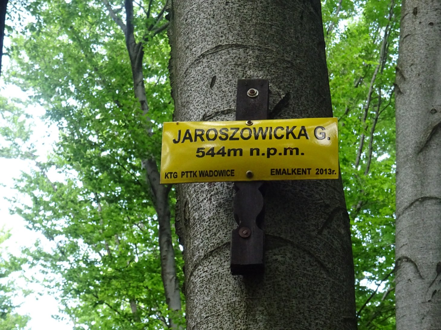 Jaroszowicka Góra