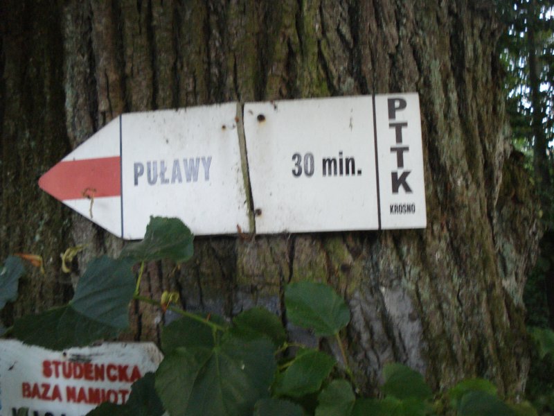 Puławy