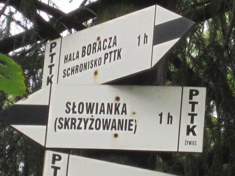 Żabnica Skałka