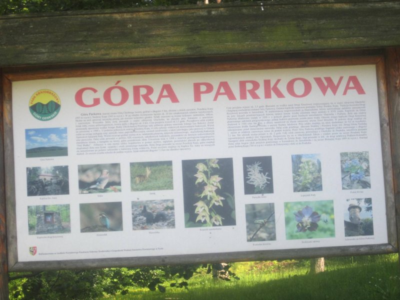 Głuchołazy Parkowa