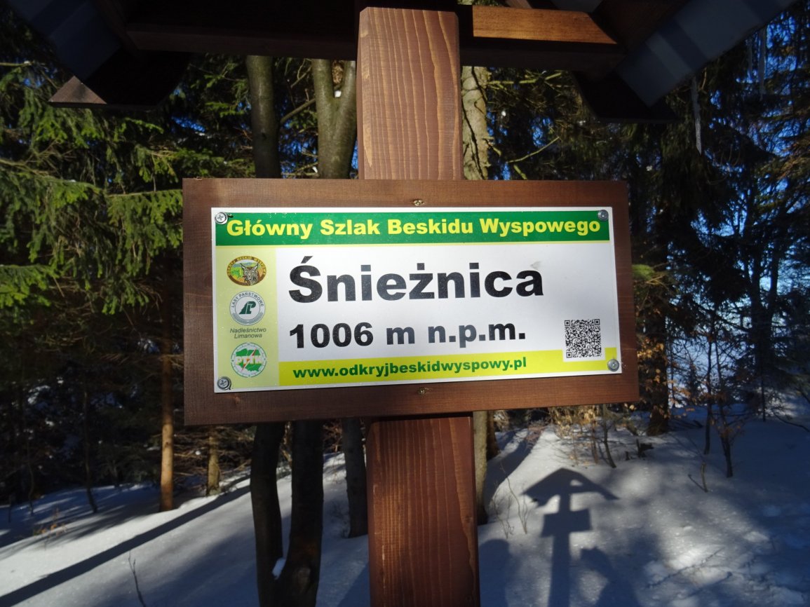 Śnieżnica 