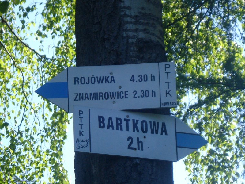 Rożnów