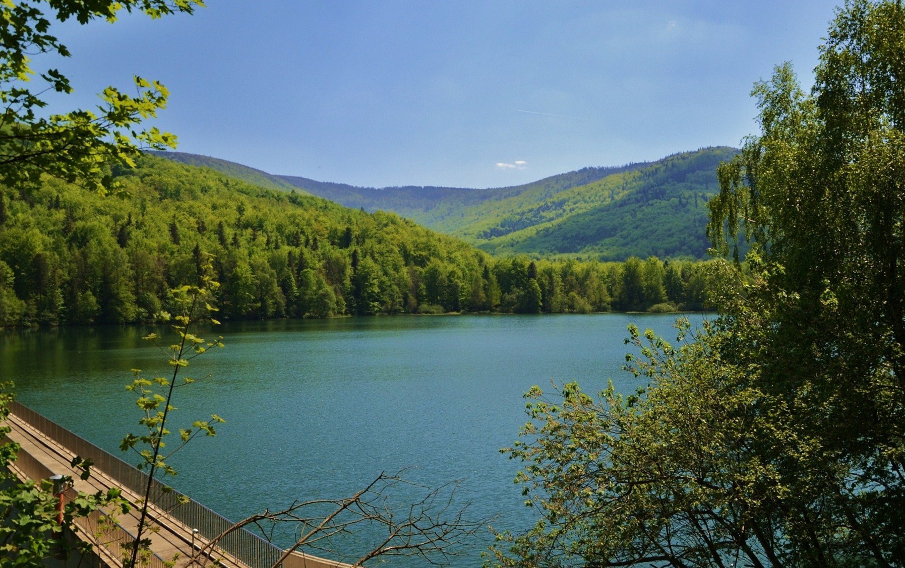 Jezioro w dolinie Wapienicy . Autor: Jabyrd.