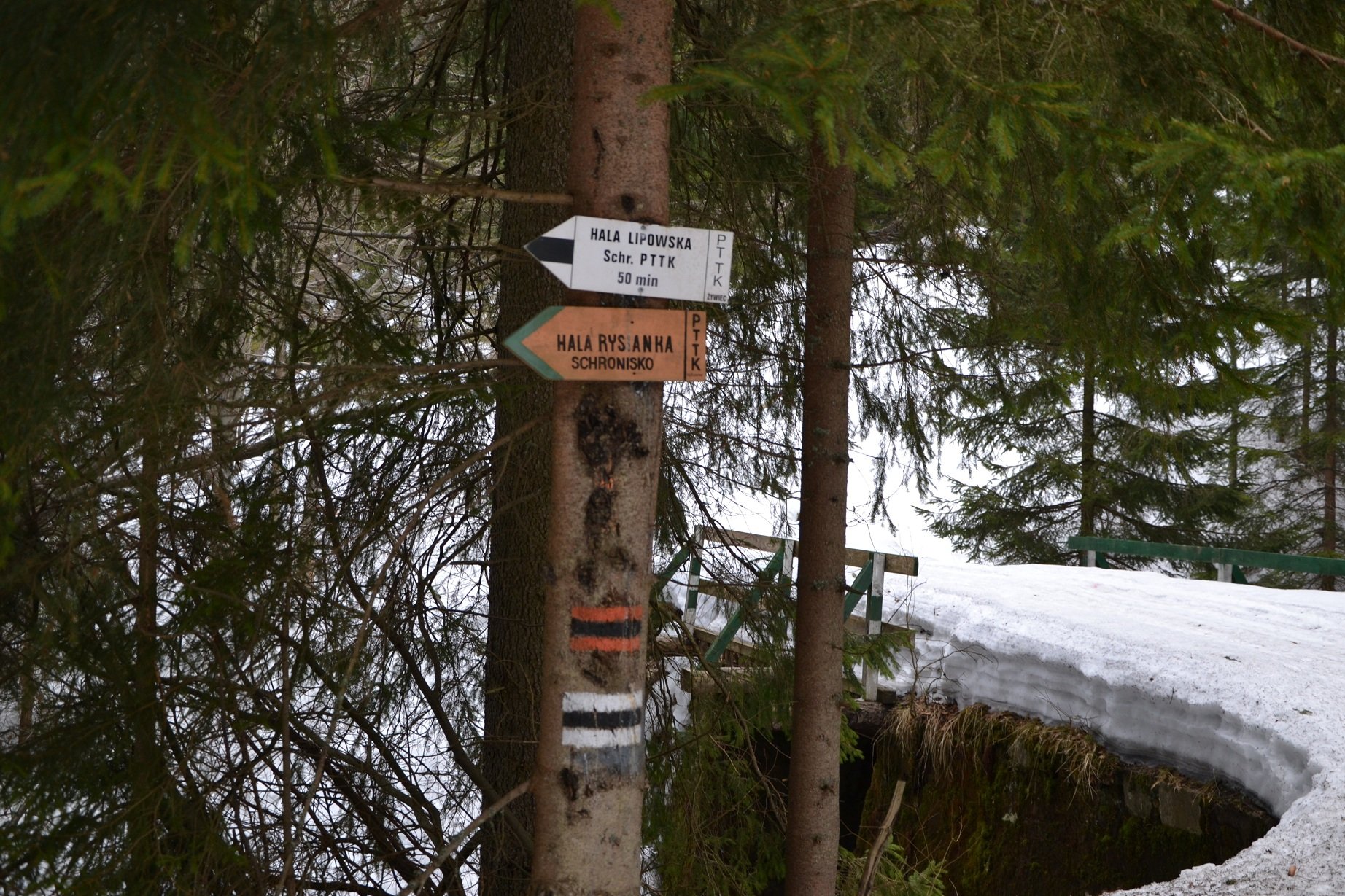 pod Przełęczą Bory Orawskie