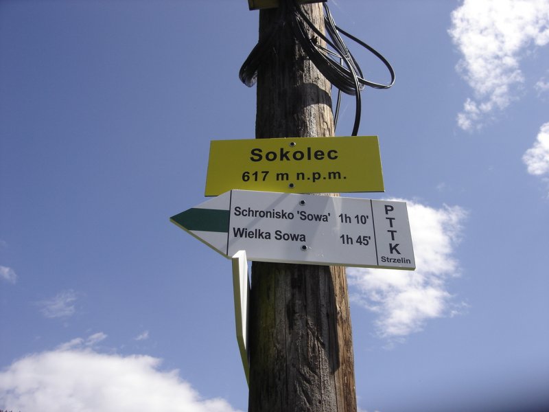 Sokolec