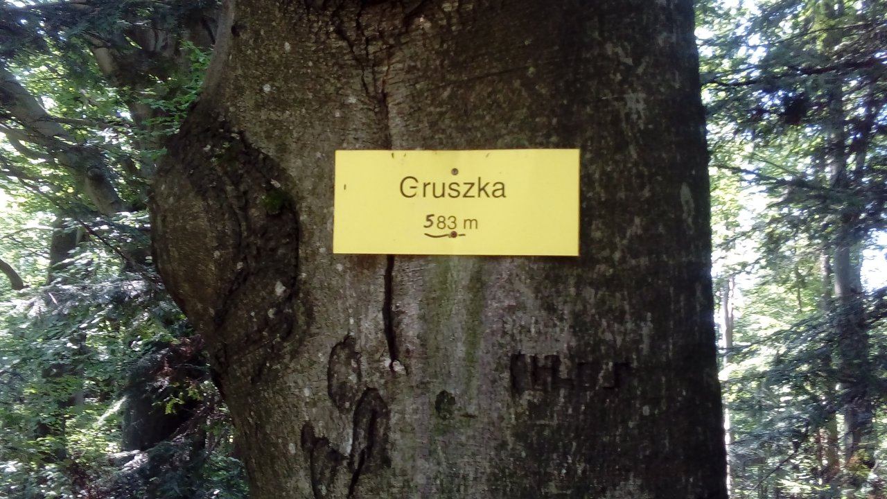 Gruszka