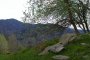 Obidowiec  - Poręba Wielka Koninki - szlak zielony. przydrożny kamień Autor: Aleksander Kwiatkowski