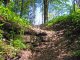Kalwaria Lanckorona (PKP) - Żar - szlak zielony. Na ruinach zamku zaczynają się szlaki niebieski i czarny Autor: Wiesław Dębowski