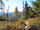 Przełęcz Przegibek - Wielka Rycerzowa  - szlak czerwony. Na Majcherowej 1105m n.p.m. Autor: Wiesław Dębowski