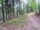 Potrójna - Rzyki Podlachoń - szlak czarny. W tym miejscu proponuję zejść ze szlaku i iść prosto bardziej widokową trasą, a nie stromą kamienistą rynną.. Autor: Wiesław Dębowski