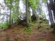 Potrójna - Łamana Skała - szlak czerwony. Szlak żółty na Potrójną,  liczne skałki w rezerwacie przyrody.  Autor: Wiesław Dębowski