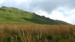Bukowe Berdo - Przełęcz 1160 m - szlak niebieski. Bieszczadzkie trawy i zielone zbocza Krzemienia Autor: Maciej Bełch