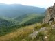 Pszczeliny - Bukowe Berdo - szlak niebieski. W pobliżu wierzchołka 1238 m.n.p.m. Autor: Maciej Bełch