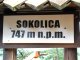 Sokolica 