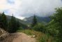 Dolina Jarząbcza - Trzydniowiański Wierch  - szlak czerwony.  Autor: slowinska irena