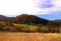 Przełęcz nad Roztokami - Roztoki Górne - szlak zolty. Autor: Marek Kusiak