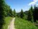 Przełęcz Przysłop - Dzwonkówka - szlak czerwony. na trasie Autor: Krystyna Wiewióra