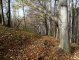 Podlesie - Tuł - szlak zielony. na trasie Autor: Krystyna Wiewióra