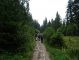 Przełęcz Glinne  - Pilsko - szlak niebieski. na trasie. Autor: Krystyna Wiewióra