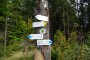Zubrzyca Górna - Przełęcz m. Sidziną a Zubrzycą - szlak zielony. Przełęcz między Sidziną a Zubrzycą . Autor: Krystyna Wiewióra