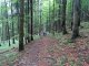 Sopotnia Wielka Mrozówki - Uszczawne - szlak zielony. na trasie Autor: Krystyna Wiewióra
