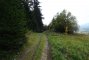 Przełęcz Bory  - Beskidy - szlak niebieski. na trasie Autor: Krystyna Wiewióra