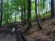 Młada Hora - Kocoń - szlak niebieski. na trasie Autor: Krystyna Wiewióra