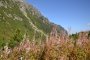 Siklawa - Rzeżuchy - szlak zielony.  Autor: Jabyrd